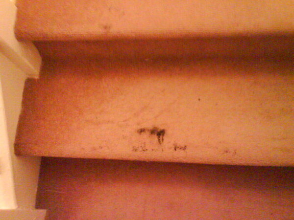 Ink on stairs -swanseacarpetcleaning/cleaninggalleryswansea.co.uk 
