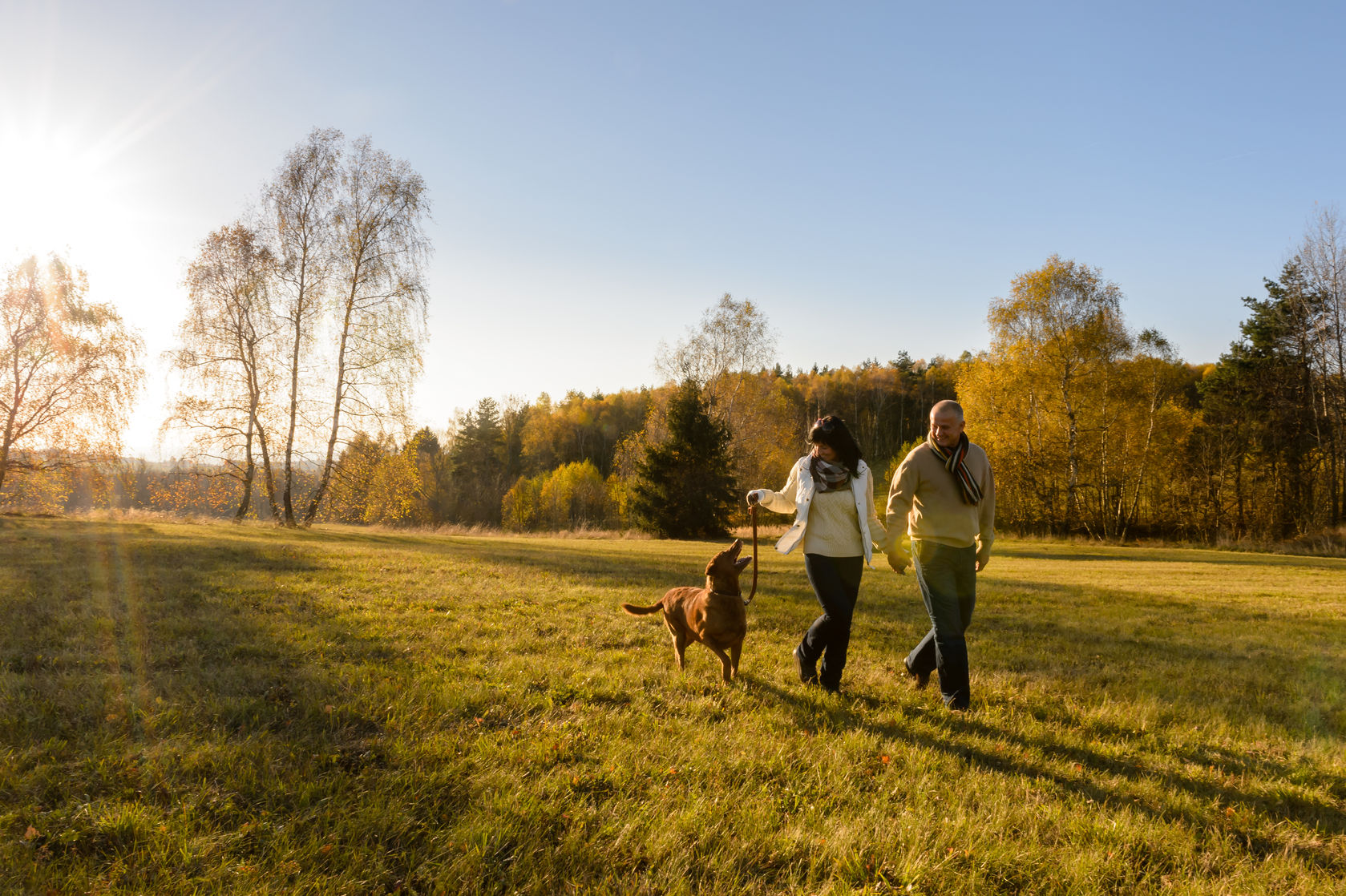 couple walking the dog