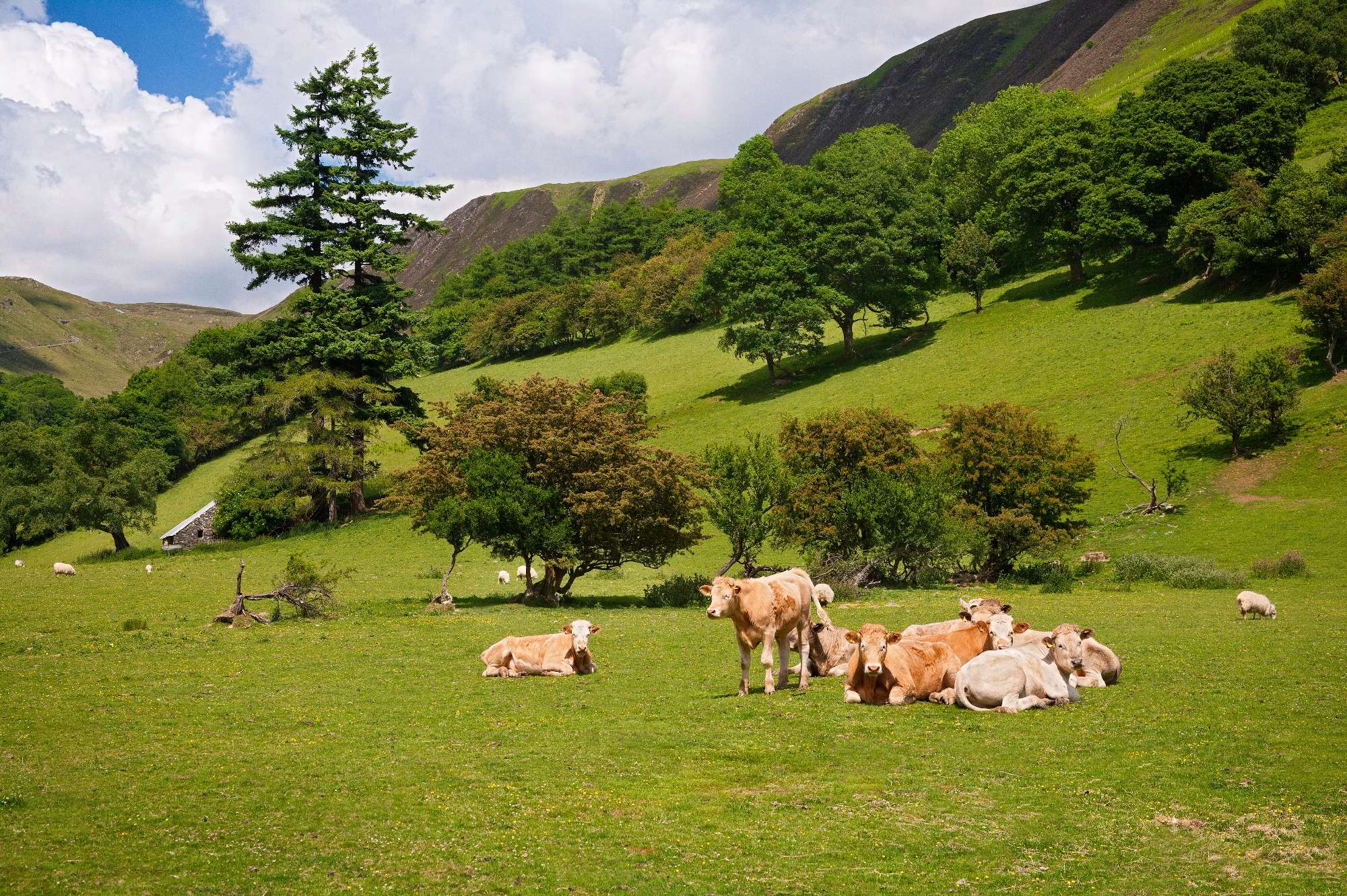 local countryside