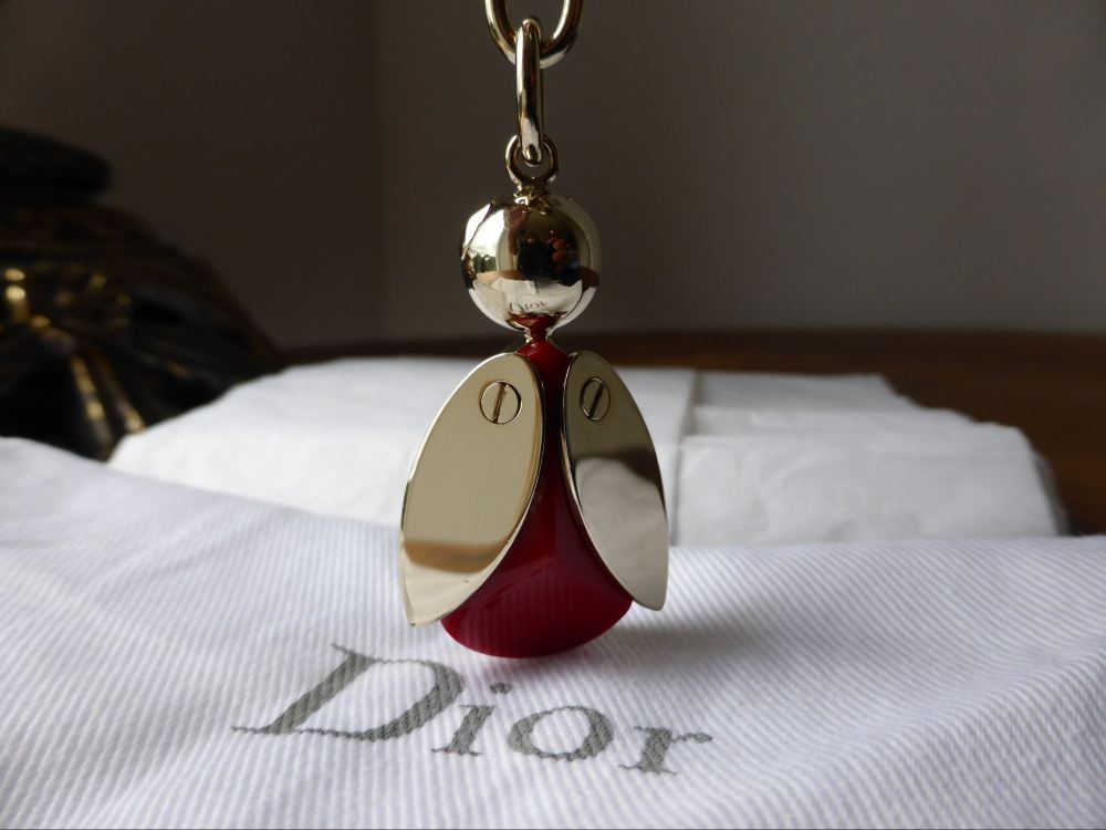 Dior Be Ladybird Oval Keyring Bag Charm