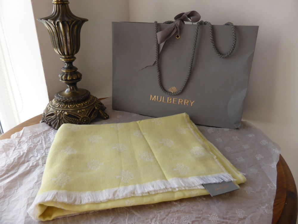 Mulberry Tamara Scarf in Lemon Sherbet Silk and Cotton Mix - SOLD