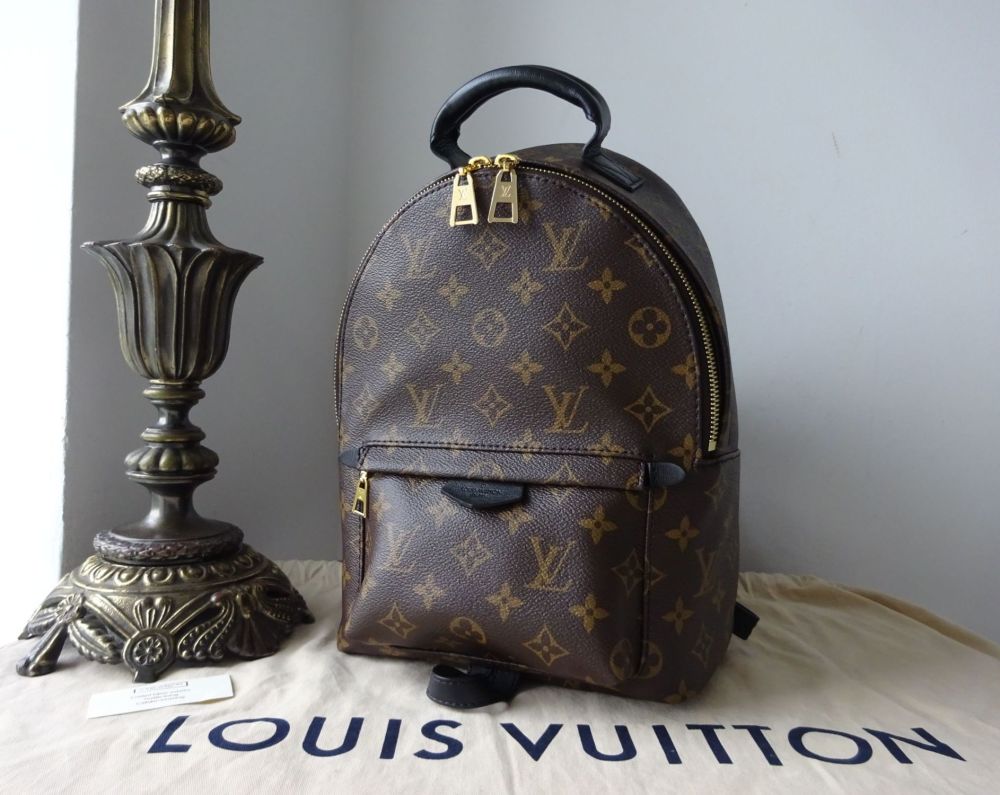 Louis Vuitton Palm Springs PM Backpack in Monogram Noir
