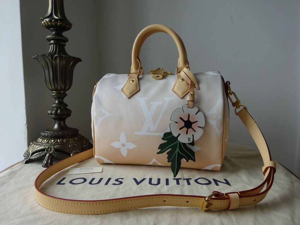 Louis Vuitton Limited Edition Summer by the Pool Speedy Bandouliere 25