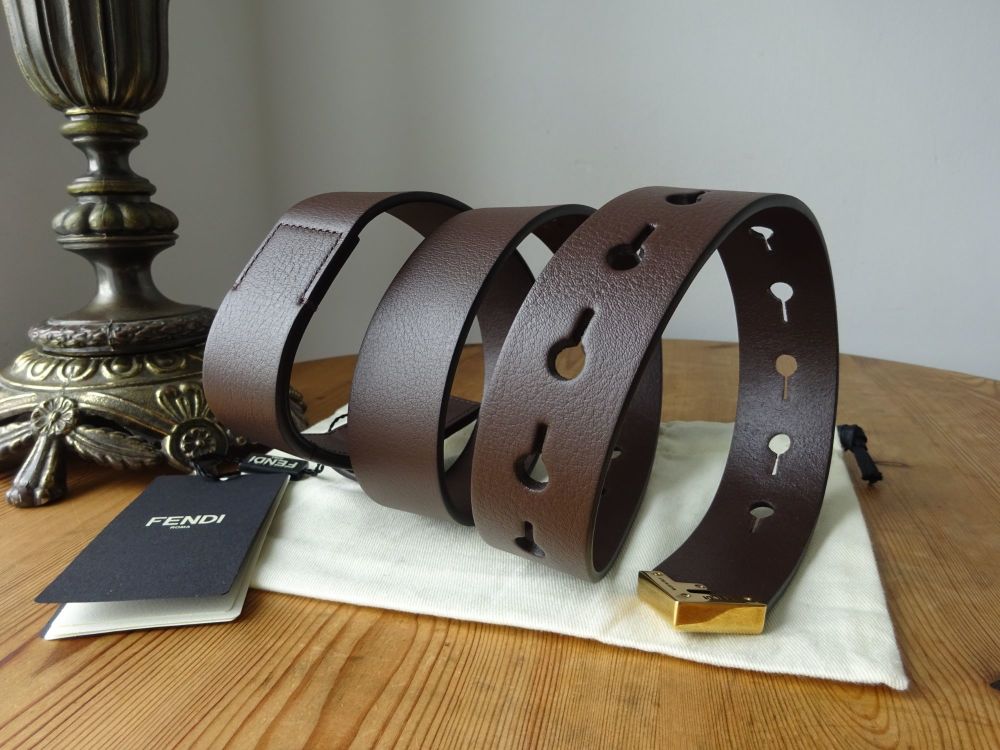 Fendi Belt in Dark Brown Calfskin with Golden Brass Hardware - New