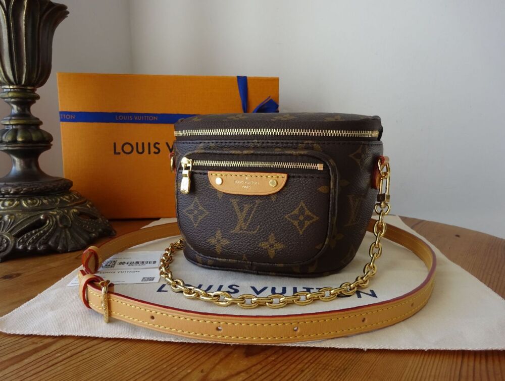 Louis Vuitton Mini Bumbag in Monogram Vachette - SOLD