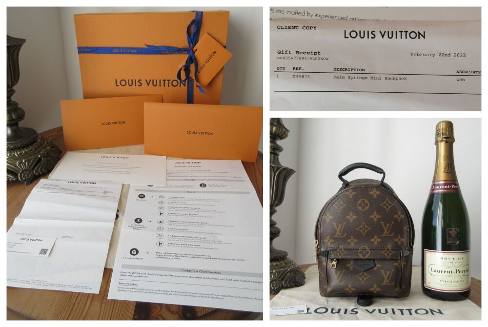 Louis Vuitton Palm Springs Mini Backpack in Monogram Noir