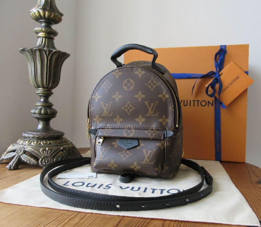 Louis Vuitton Palm Springs Mini Backpack in Monogram Noir