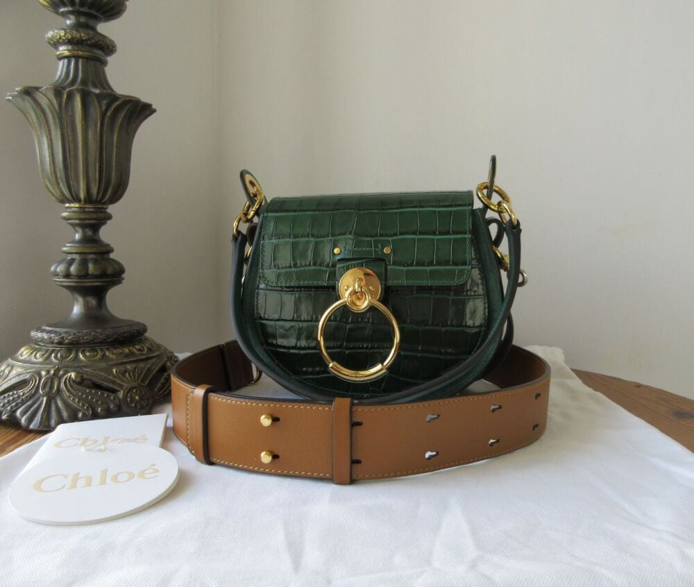Chloé Tess Small Saddle Bag in Woodsy Green Croc Printed Calfskin