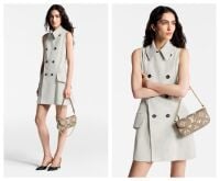 Louis Vuitton Ivy Wallet on Chain in Bicolor Tourterelle Grey & Crème Empre