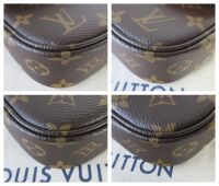 Louis Vuitton Ivy Wallet on Chain in Monogram & Calfskin
