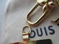 Louis Vuitton Phone Strap Split Keychain Lanyard in Mini Monogram