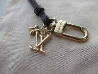 Louis Vuitton Phone Strap Split Keychain Lanyard in Mini Monogram