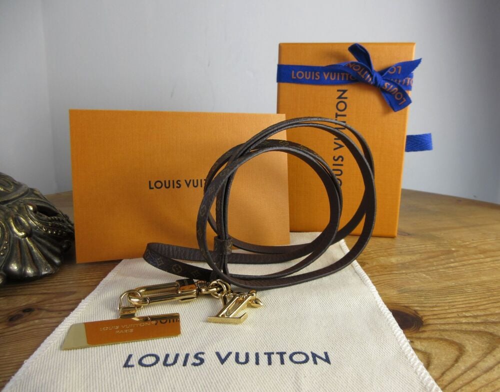 Louis Vuitton Phone Strap Keychain Lanyard in Mini Monogram
