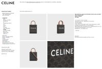 Celine Mini Vertical Cabas Two Way Tote Bag in Triomphe Canvas & Calfskin