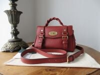 Mulberry Sustainable Icon Mini Alexa in Rust Heavy Grain Leather - New*
