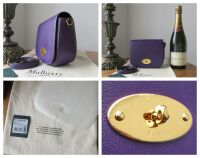 Mulberry Small Darley Satchel in Amethyst Silky Calf