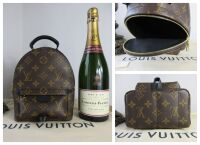 Louis Vuitton Palm Springs Mini Backpack in Monogram Noir