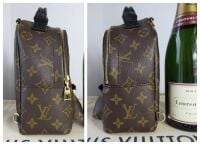 Louis Vuitton Palm Springs Mini Backpack in Monogram Noir