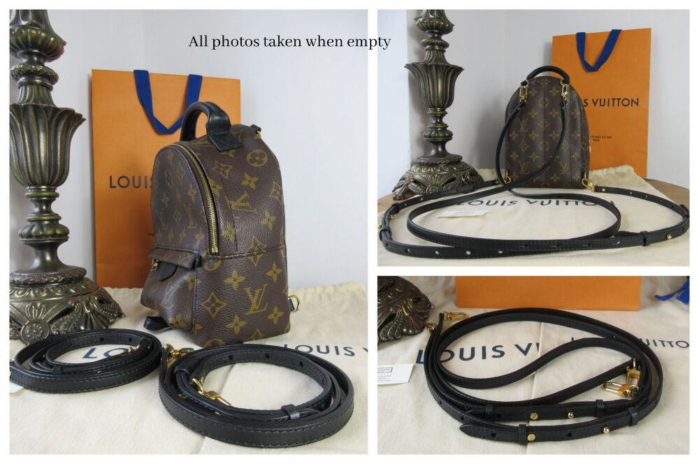 Louis Vuitton Palm Springs Mini Backpack in Monogram Noir