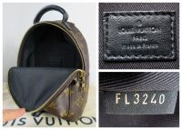 Louis Vuitton Palm Springs Mini Backpack in Monogram Noir