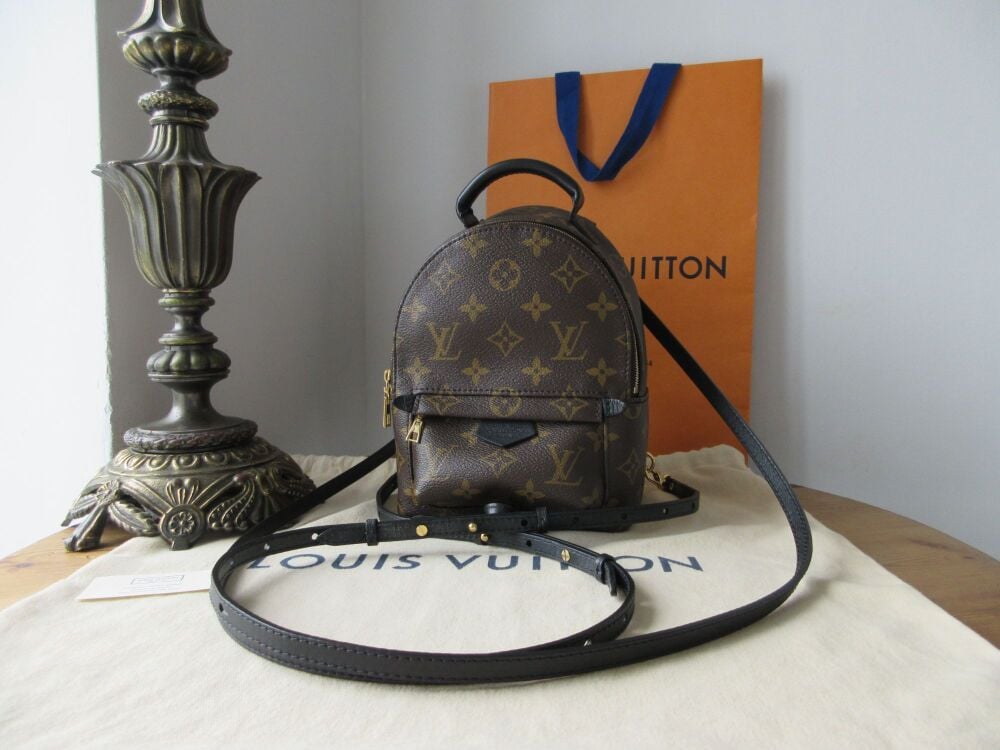 Louis Vuitton Palm Springs Mini Backpack in Monogram Noir
