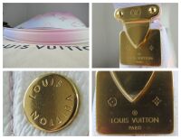 Louis Vuitton Ltd Ed Spring in the City Hobo PM in Giant Monogram Sunrise M