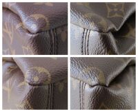 Louis Vuitton Pallas MM Tote in Monogram Dune