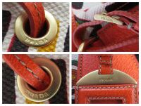 Prada Large Canapa Stampata Frame Top Handle Bauletto in Papaya
