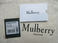 Mulberry Sustainable Icon Mini Alexa in Chalk Heavy Grain Leather