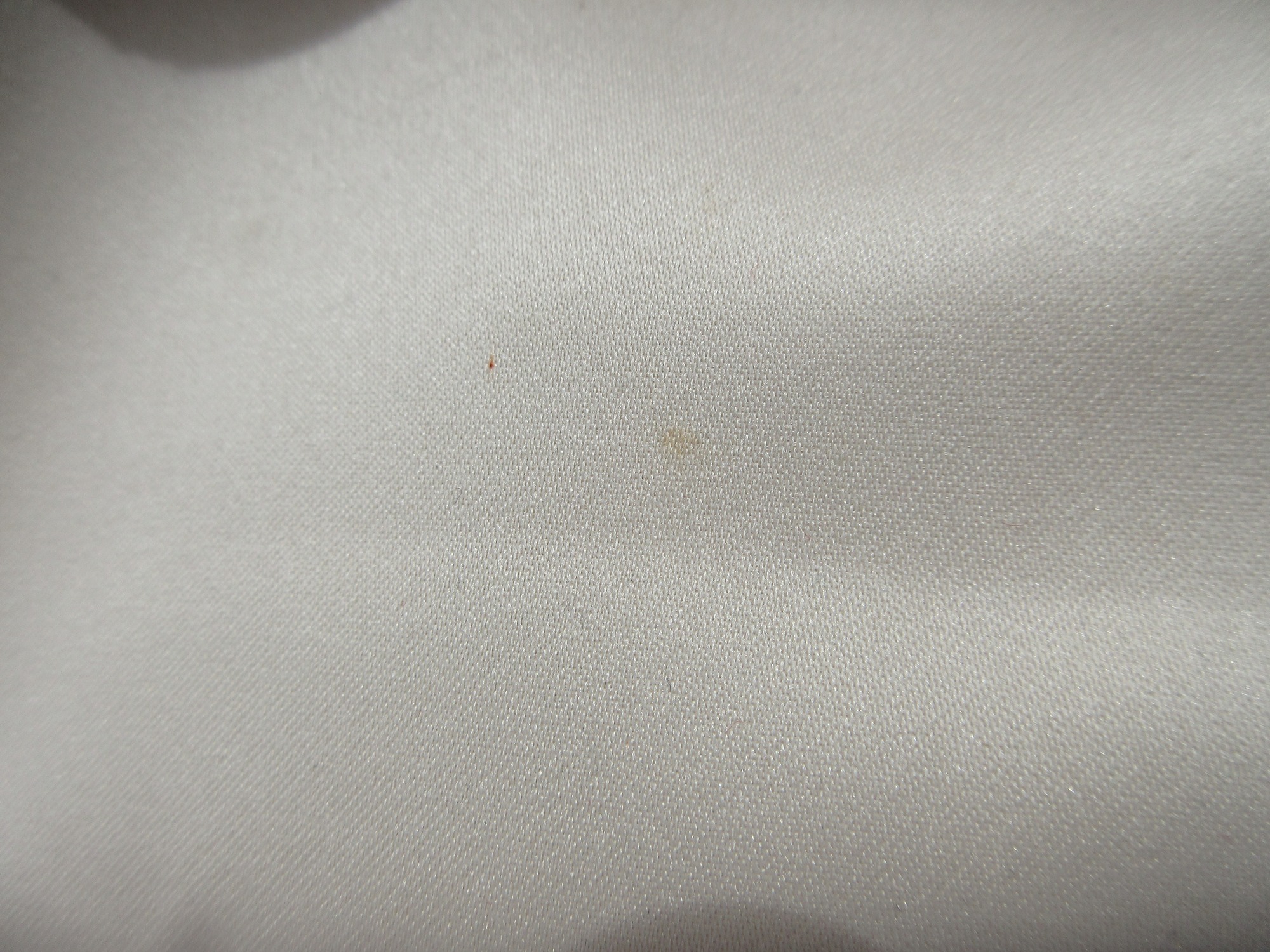 IMG_8787.JPG