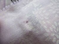 Mulberry Tamara Rectangular Scarf in Lilac Superfine Cotton
