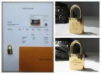Louis Vuitton Alma MM in Monogram Vachette