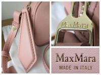 Max Mara Elsa Small Crossbody Camera Bag in Powder Pink Calfskin