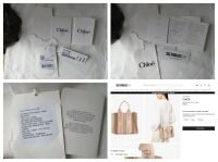Chloé Woody Small Tote in Light Eucalyptus Linen & Calfskin