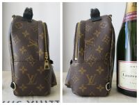 Louis Vuitton Palm Springs Mini Backpack in Monogram Noir