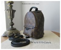 Louis Vuitton Palm Springs Mini Backpack in Monogram Noir