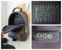 Louis Vuitton Palm Springs Mini Backpack in Monogram Noir