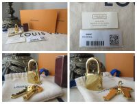 Louis Vuitton I&Atilde;&copy;na MM Tote in Monogram Vachette