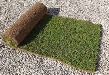 Tudor LT6 lawn turf
