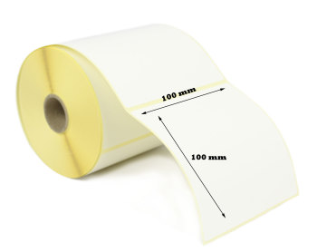 Citizen CL-S521 100x100mm Direct Thermal Labels (5,000 Labels)