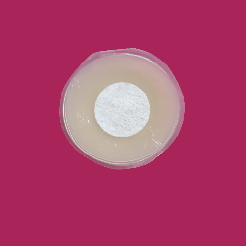 Secret Silicone Nipple Covers - Round Shape