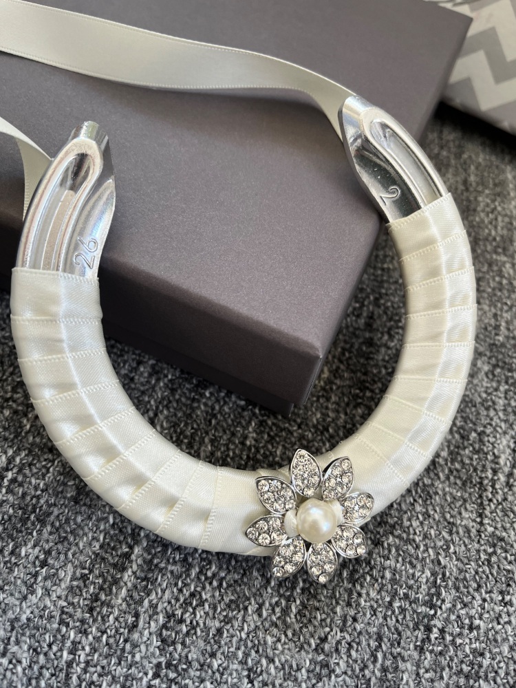 Lucky Horseshoe with Brooch