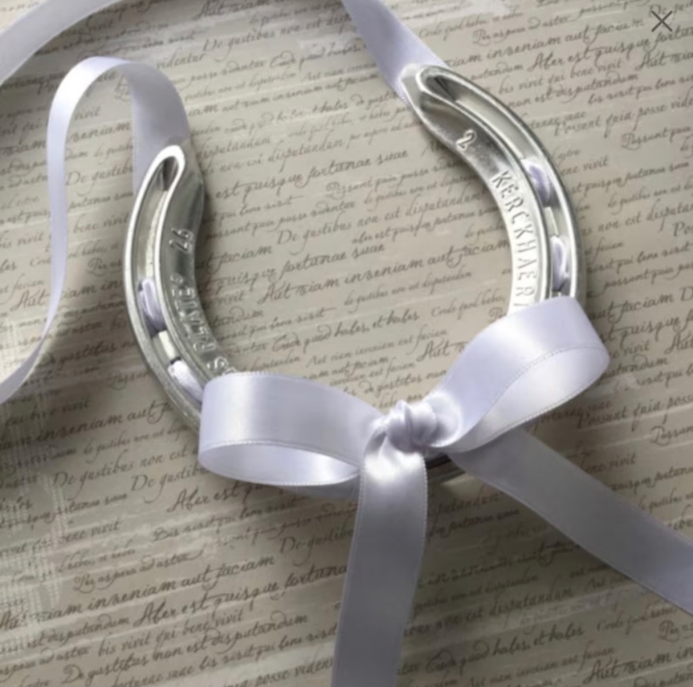 Lucky Horseshoe with White Bow