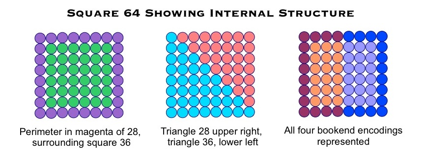 Square 64 showing internal structure