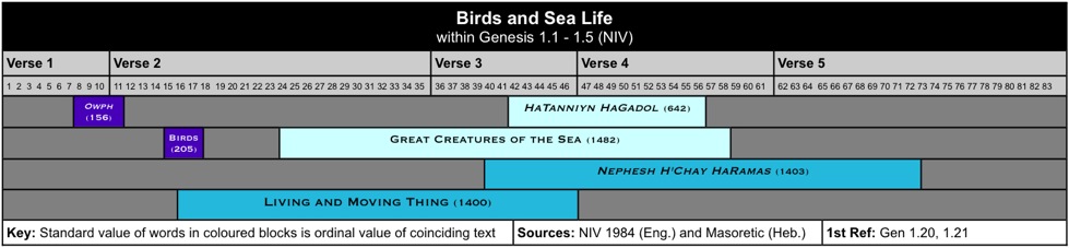 Birds and Sea Life V