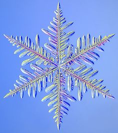 snow crystal jpg