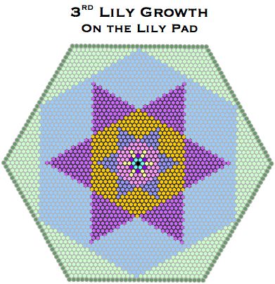 Lily Growth 3 Pad