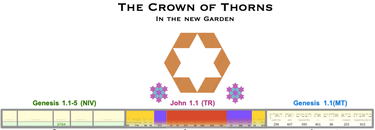 The Crown of Thorns New Garden