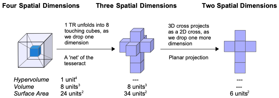 Tesseract 3D Cross 2D Cross 2