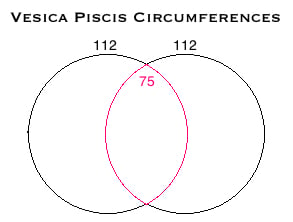 Vesica Piscis Circumferences